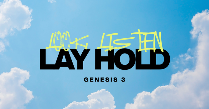 Look, Listen, Lay Hold