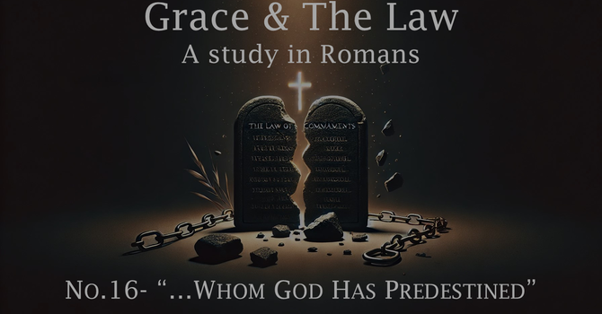 No. 16- Those Whom He Predestined