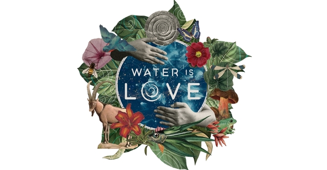 'Water is Love'