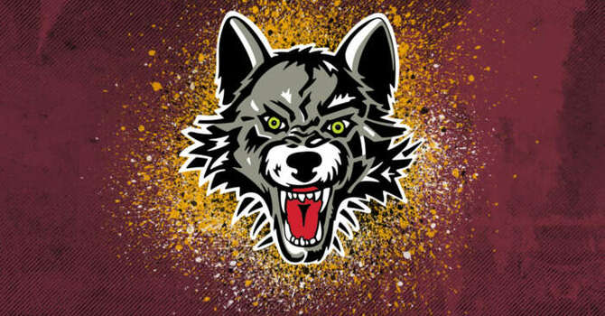Men's Fellowship: Chicago Wolves Game