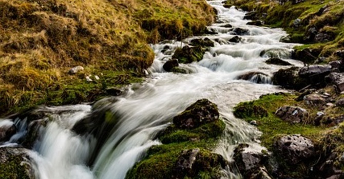 February 17, 2026 Devotion image