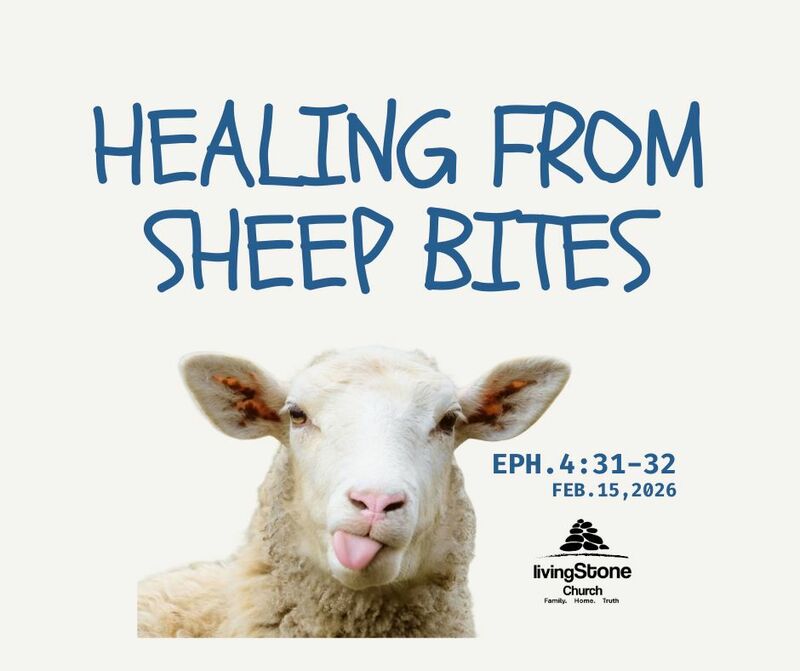 Healing From Sheep Bites