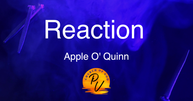 Reaction