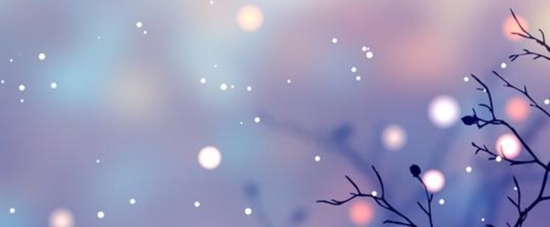 Stewards of His Grace