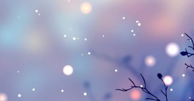 Stewards of His Grace