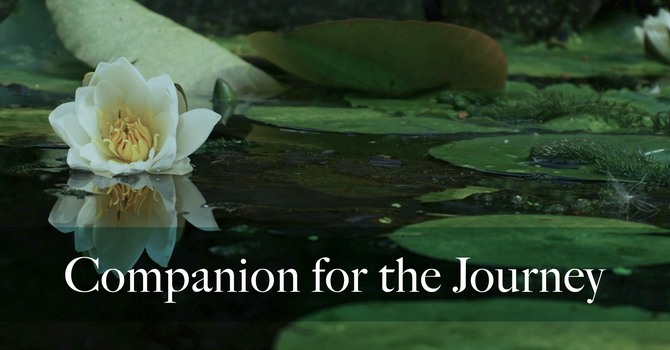 Companion for the Journey