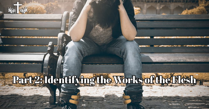 Part 2: Identifying the Works of the Flesh  image