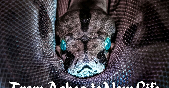 The First Sunday in Lent - February 22, 2026