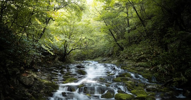 February 18, 2026 Devotion image