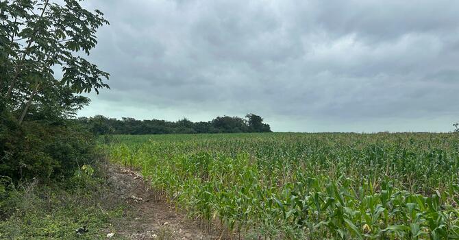 Belize Ministry Update - NEW PROJECT