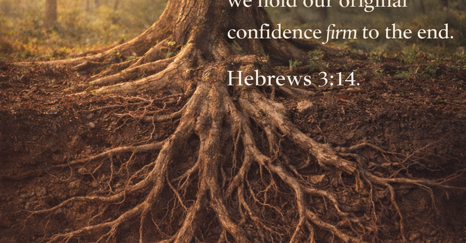 Holding Firm Over Time image