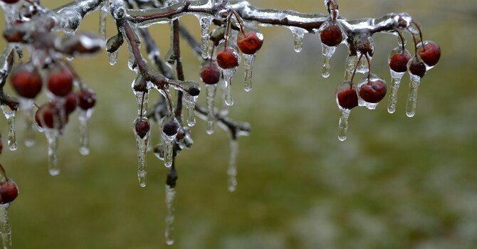 Cancelled: 7pm Ash Wednesday Service