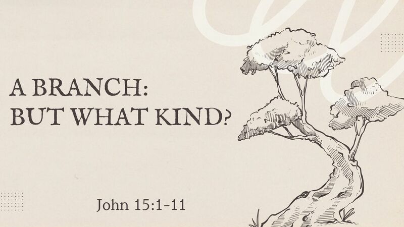 A Branch: But What Kind?