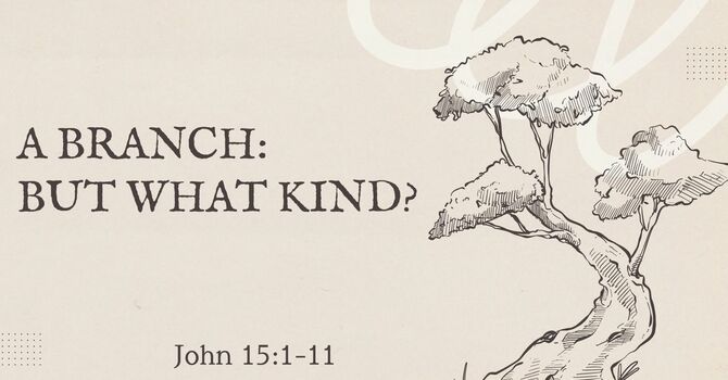 A Branch: But What Kind?