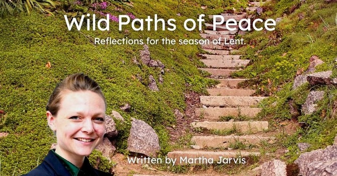  Lynda Winter is the New Alongside Hope (was PWRDF) Parish Rep image