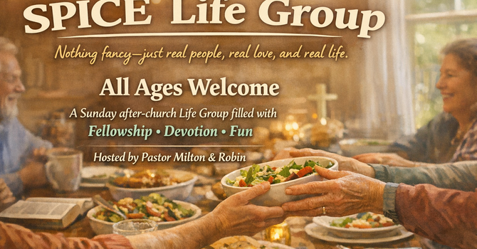 Spice Life Group