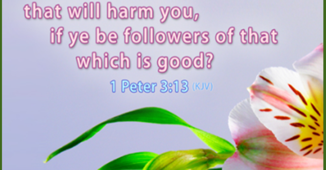 Prayer Letter  image