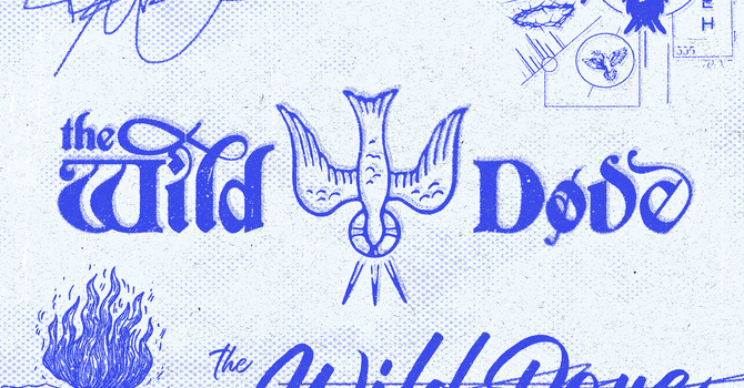 What’s Following You? Signs, Wonders, and the Holy Spirit