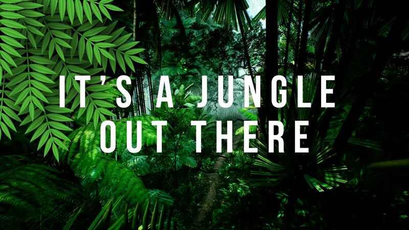 It's a Jungle Out There