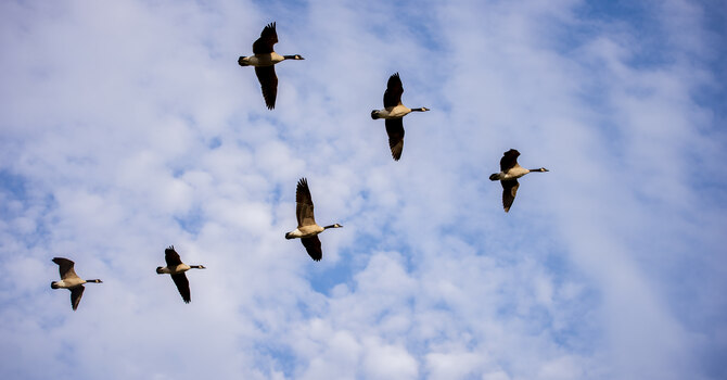 "Counting on God's Rule to Prevail"