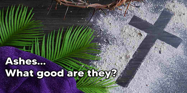 Grateful, Thankful, Blessed