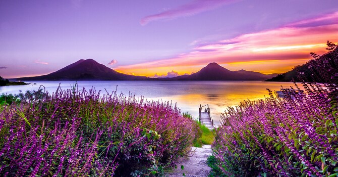 The Freedom Found in Simplicity