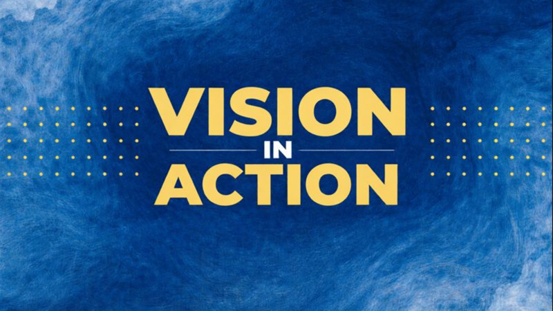 Vision in Action