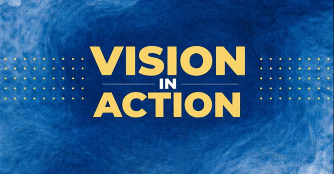 Vision in Action