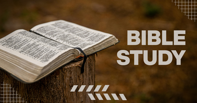 Bible Study & Small Groups