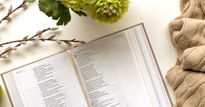 The Definition of Stewardship