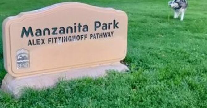 The River Church Picnic