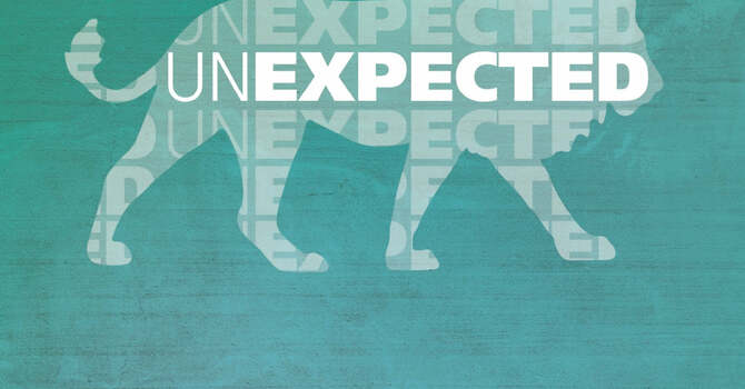 Women's Ministry Bible Study