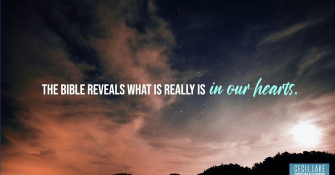 “NO CHANGE IN NATURE” image