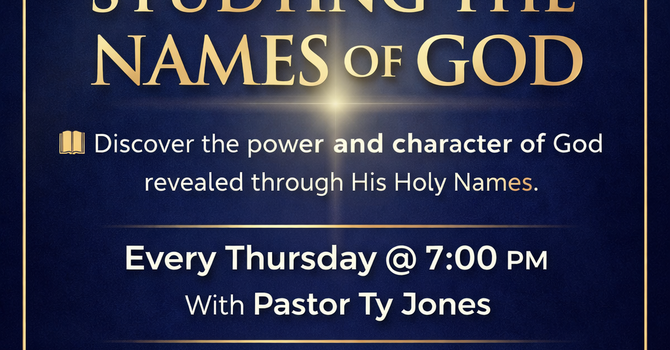 ONLINE WEBINAR SERIES