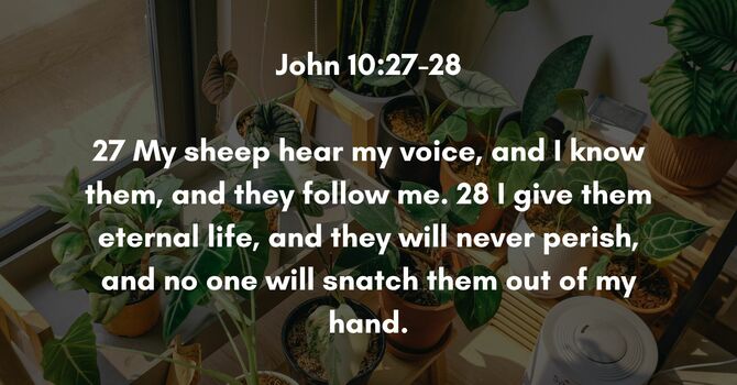 John 10:27-28 image