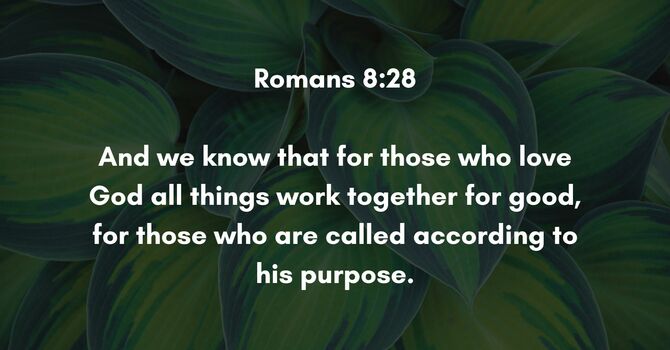 Romans 8:28 image