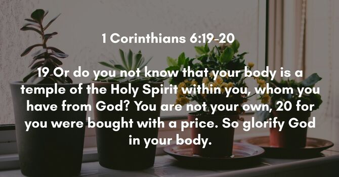 1 Corinthians 6:19-20 image