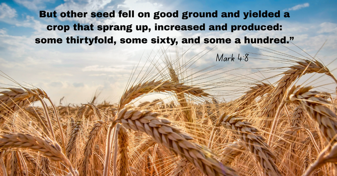 Guard the Soil of Your Heart image