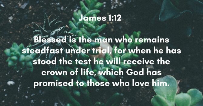 James 1:12 image