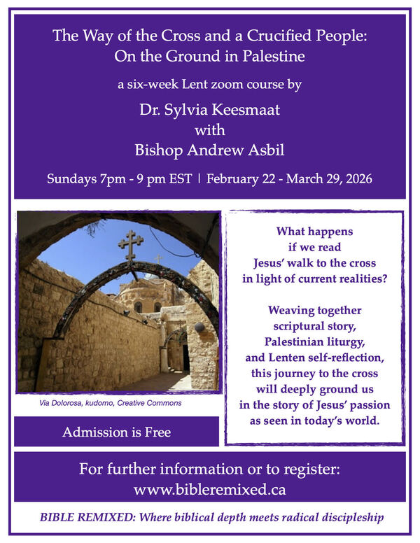 The Way of the Cross  and a Crucified People : On the Ground in Palestine