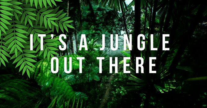 It's a Jungle Out There