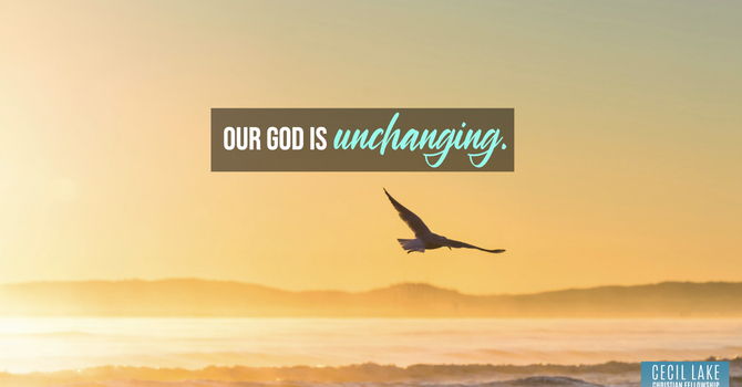 “IMMUTABLE” image