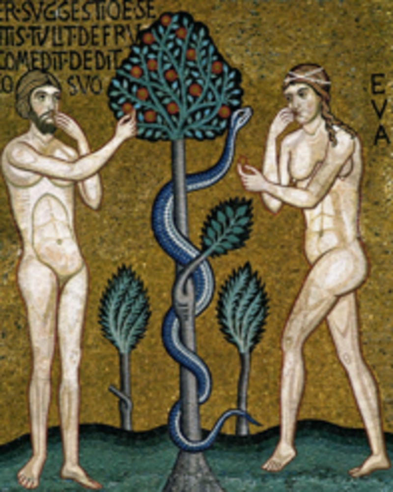 Sunday February 22, 2026