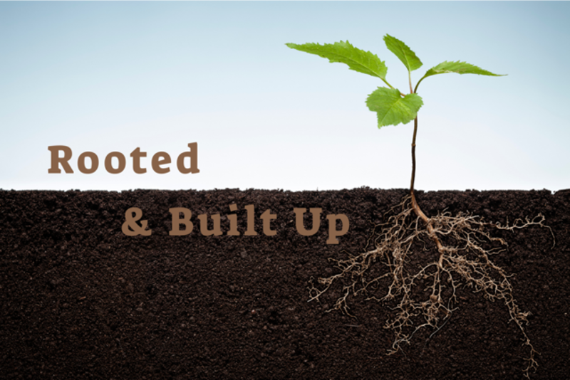 The Mental Reset: New Life, New Mindset: Colossians 3:1-4