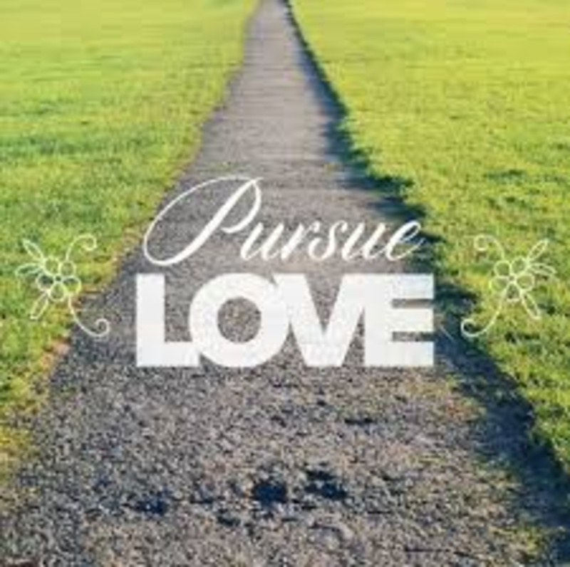 Pursue Love