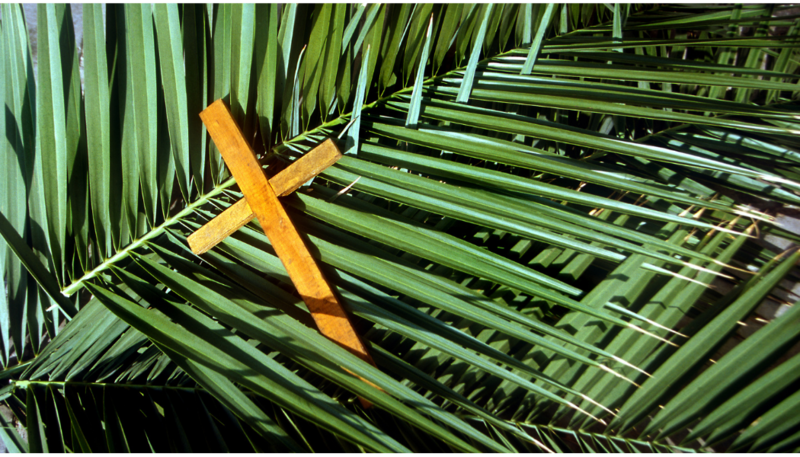 Palm Sunday
