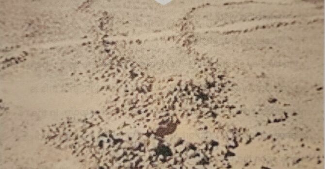 Week 1 | Bible Study Download| image