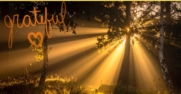 Invitation to Gratitude