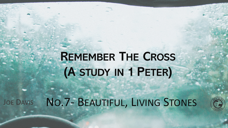 No.7- Beautiful Living Stones