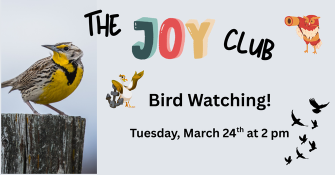 The JOY Club